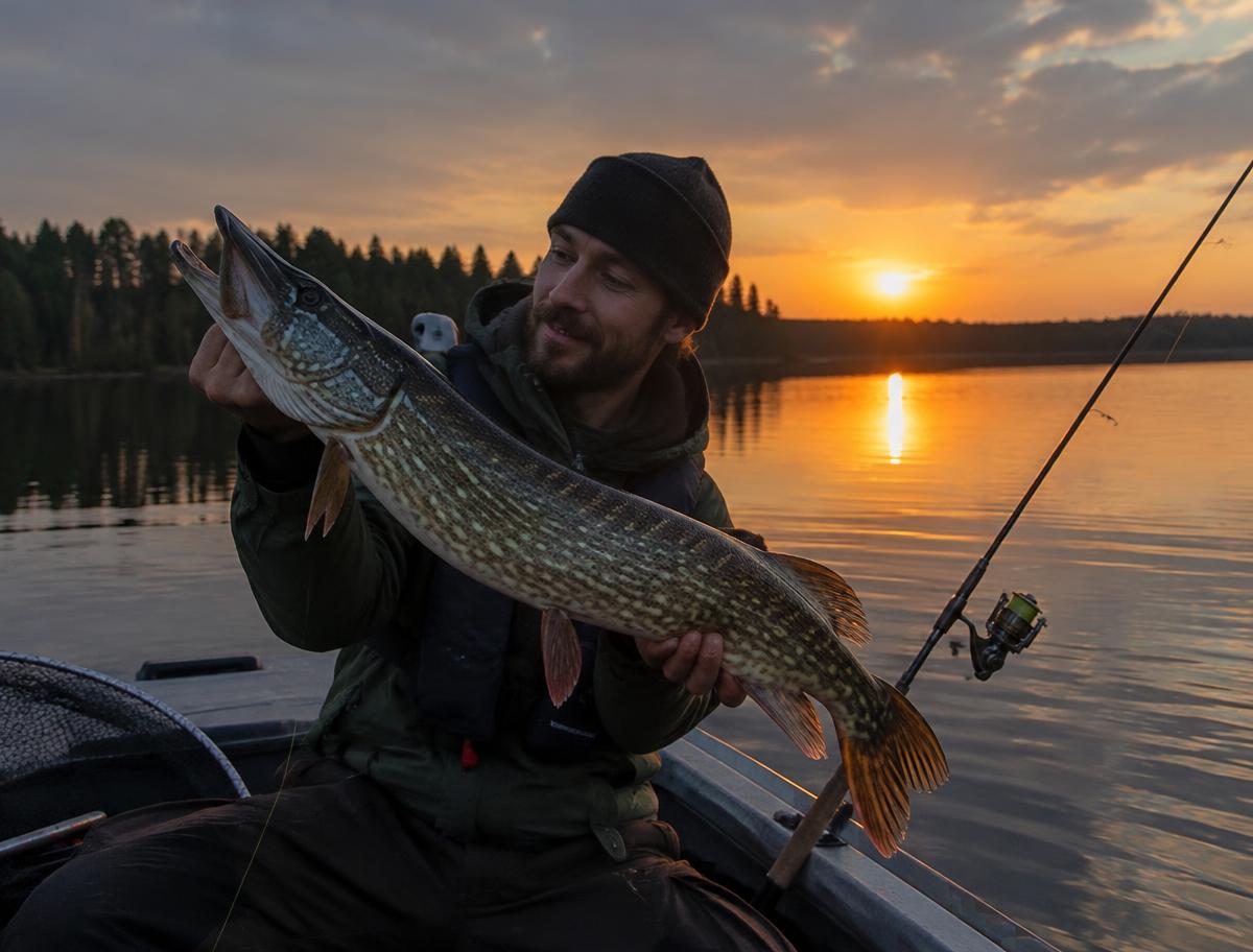 Fiskare med gädda